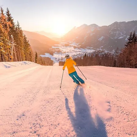 In Oesterreich Nahe Gondel & Turracher Hohe