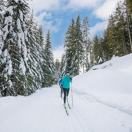 Chalet In Oesterreich Nahe Gondel & Turracher Hohe