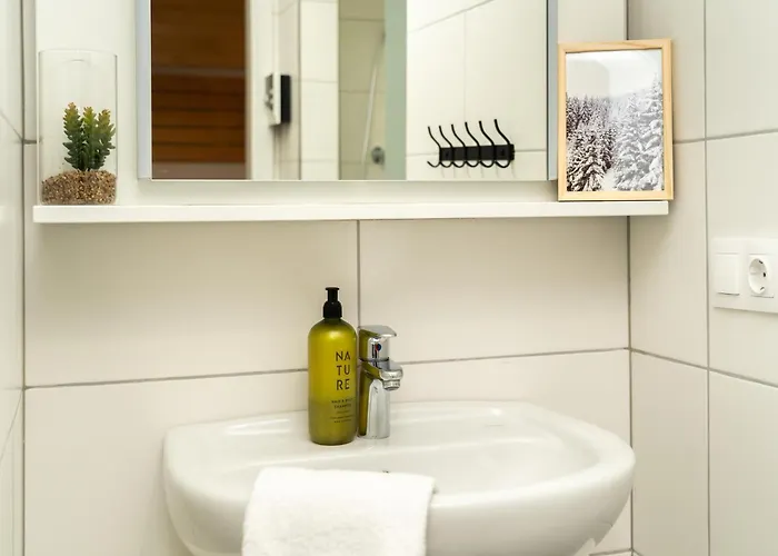 In Oesterreich Nahe Gondel & *