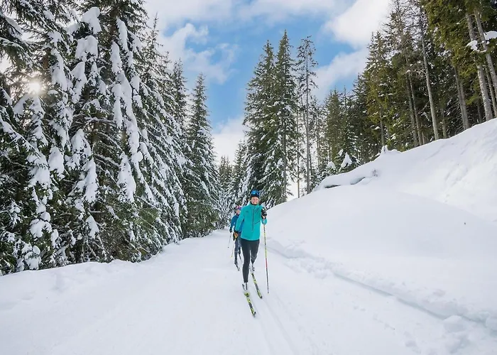 Domek alpejski In Oesterreich Nahe Gondel & Turracher Hohe